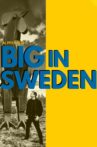 Al Pitcher - Big in Sweden Movie Streaming Online
