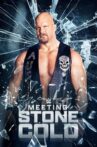 Meeting Stone Cold Movie Streaming Online