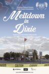 Meltdown in Dixie Movie Streaming Online