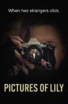 Pictures of Lily Movie Streaming Online