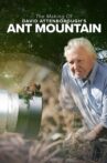 The Making of David Attenborough's Ant Mountain Movie Streaming Online