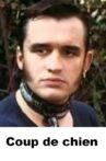 Coup de chien Movie Streaming Online