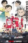 Haikyuu!!: Land vs Sky Movie Streaming Online