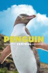 Penguin Central Movie Streaming Online