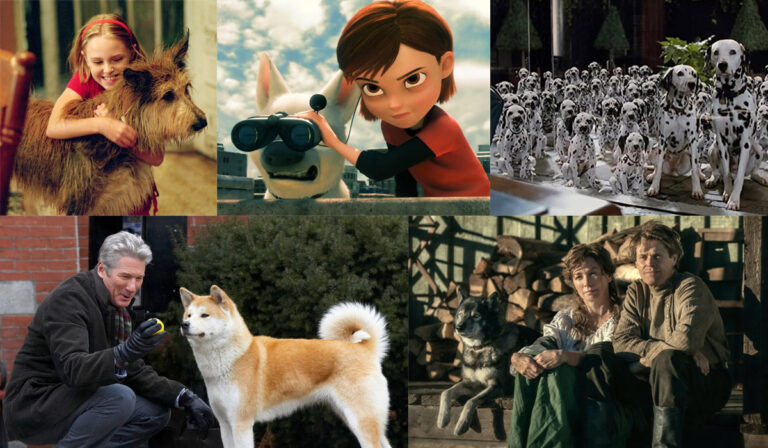 Love Pets? 5 Best Films Across OTT Dedicated To Our Cuddly Pals