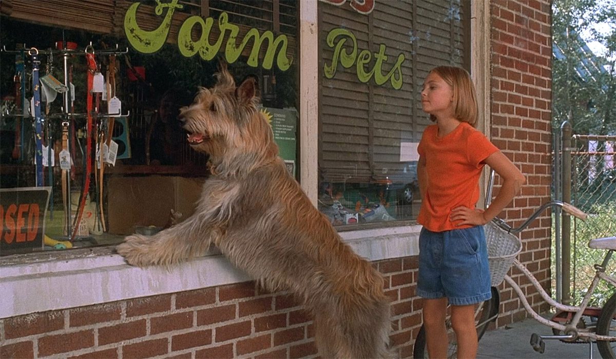 Because of Winn-Dixie