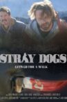 Stray Dogs Movie Streaming Online