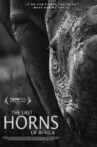 The Last Horns Of Africa Movie Streaming Online