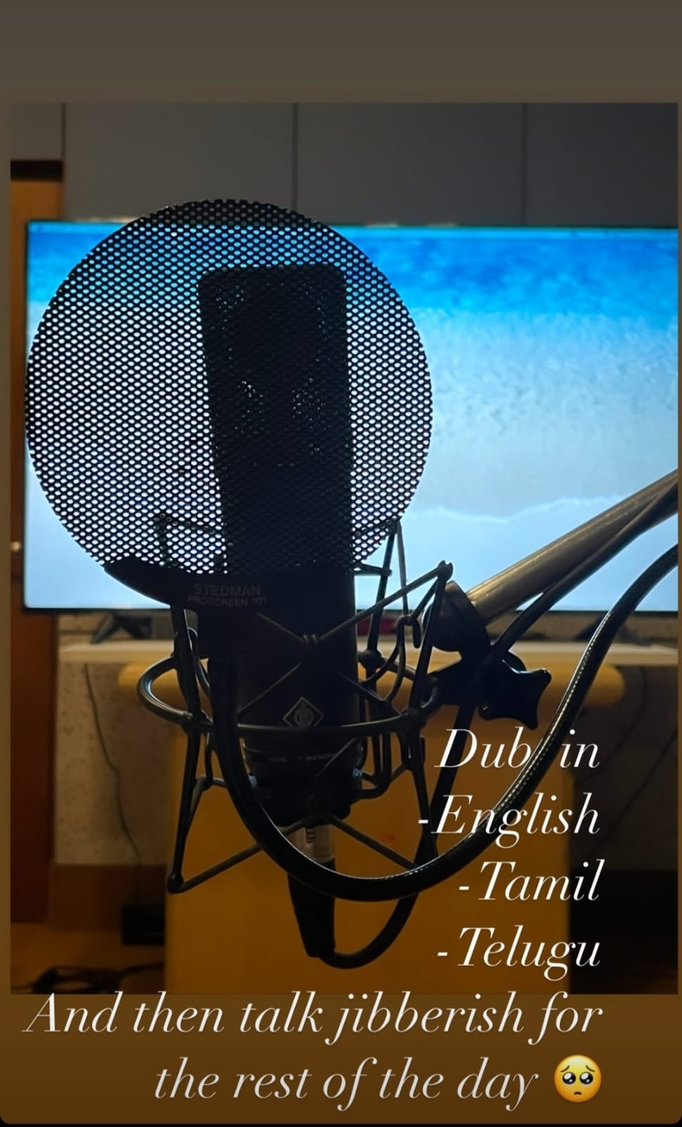 The Family Man Season 2