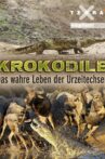 Krokodile - das wahre Leben der Urzeitechsen Movie Streaming Online