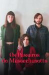 Os Pássaros de Massachusetts Movie Streaming Online