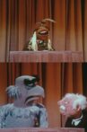The Muppet Introduction Movie Streaming Online