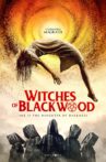 Witches of Blackwood Movie Streaming Online