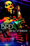 Bird: Not Out Of Nowhere Movie Streaming Online