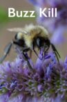 Buzz Kill Movie Streaming Online