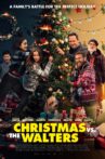 Christmas vs. The Walters Movie Streaming Online