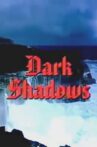 Dark Shadows Movie Streaming Online