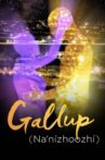 Gallup (Na'nízhoozhí) Movie Streaming Online