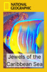Jewels of the Caribbean Sea Movie Streaming Online
