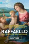 Raffaello alle Scuderie del Quirinale Movie Streaming Online