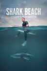 Shark Beach with Chris Hemsworth Movie Streaming Online