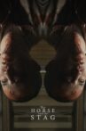 The Horse and the Stag Movie Streaming Online