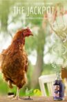 The Jackpot Movie Streaming Online