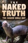 The Naked Truth: The Naked Mole Rat Movie Streaming Online