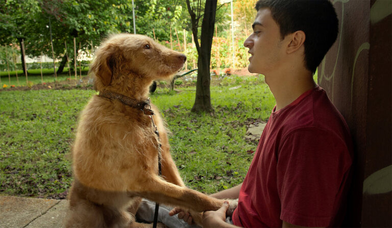 Hidden Gems: Netflix’s Seventeen Is A Must Watch Coming-Of-Age Film