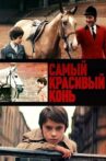 Самый красивый конь Movie Streaming Online