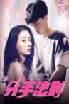 分手法则 Movie Streaming Online