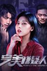 完美嫌疑人 Movie Streaming Online