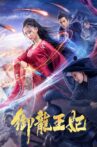 御龙王妃 Movie Streaming Online