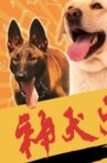 神犬出击 Movie Streaming Online