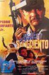 Asalto sangriento Movie Streaming Online