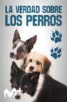 Dog Tales Movie Streaming Online