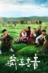 藏草青青 Movie Streaming Online