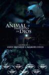 El animal preferido de Dios Movie Streaming Online