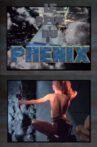 Le Reve Du Phenix Movie Streaming Online