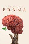 Patterns of life: Prana Movie Streaming Online