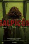 Salpicón Movie Streaming Online