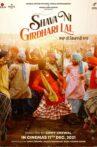 Shava Ni Girdhari Lal Movie Streaming Online