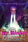 The Mysterious Mr. Wizdom Movie Streaming Online