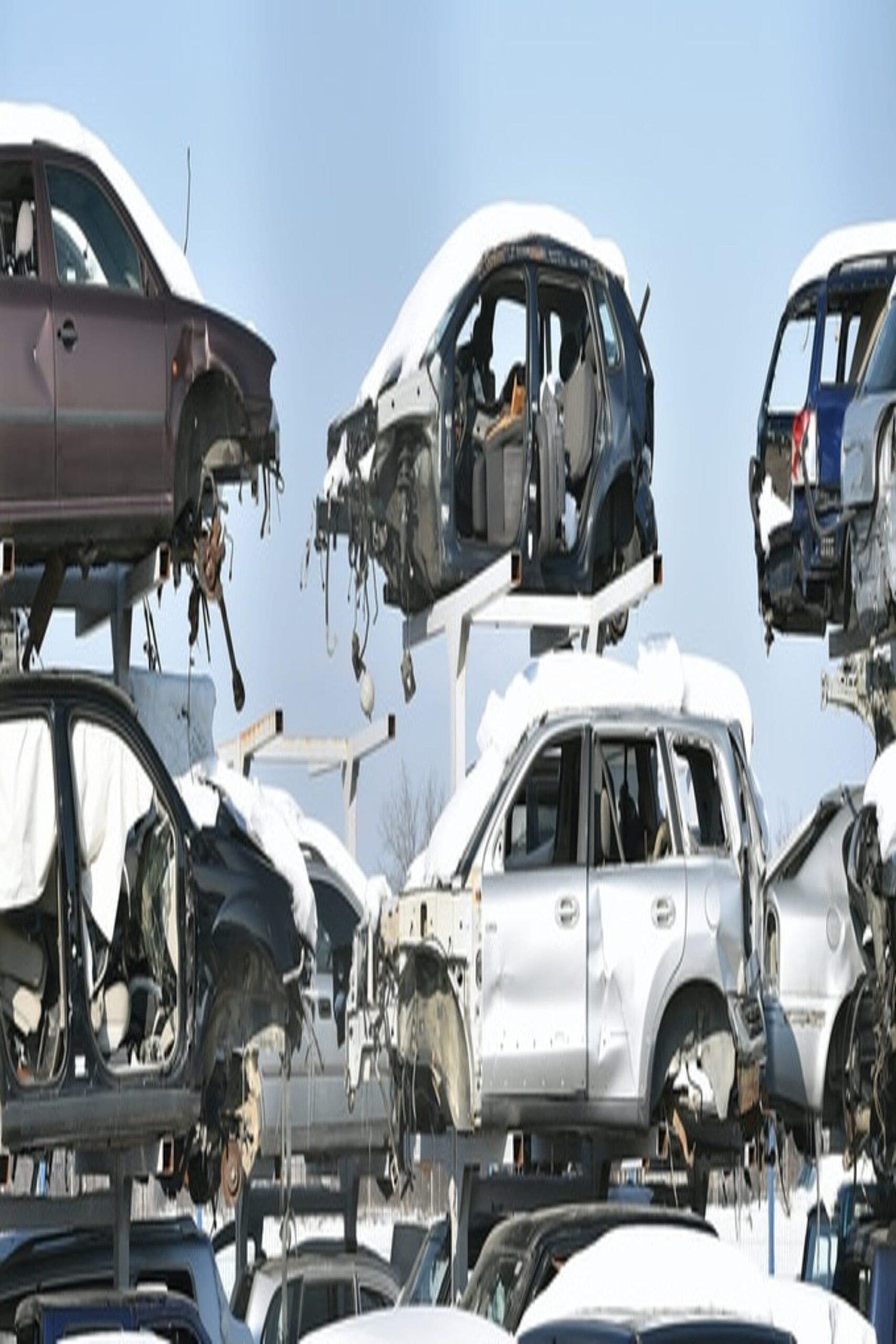 The Specimen Movie Streaming Online Watch