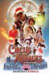 Circus of Altrades: Christmas Edition Movie Streaming Online