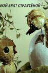 Мой брат страусенок Movie Streaming Online