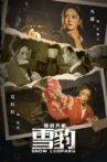 雪豹之暗战天机 Movie Streaming Online