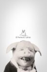 El perfecto cerdo Movie Streaming Online