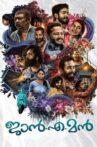 Jan-e-Man Movie Streaming Online
