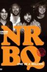 NRBQ: One in a Million Movie Streaming Online